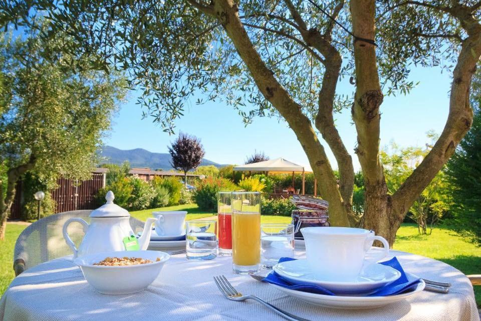 Agriturismo - B&B L'Acquacotta Castiglione della Pescaia Bagian luar foto